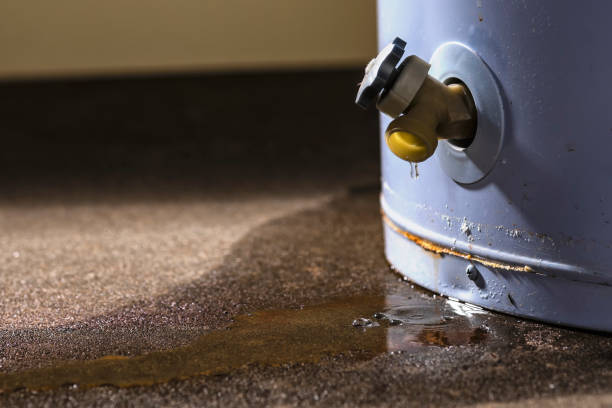 Best Commercial water damage restoration  in Three Lakes, FL