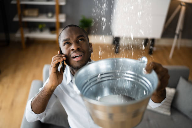 Best Water damage cleanup near me  in Three Lakes, FL