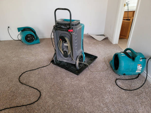 Professional Water damage restoration in Three Lakes, FL