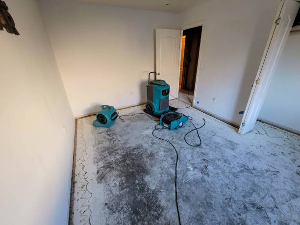 Best Emergency water damage restoration  in Three Lakes, FL