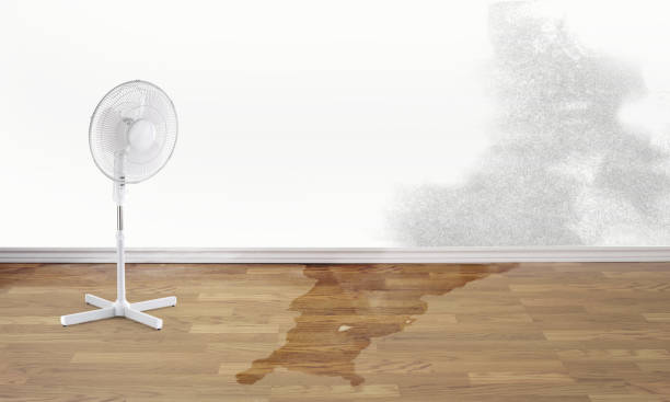 Best Flooded house restoration  in Three Lakes, FL