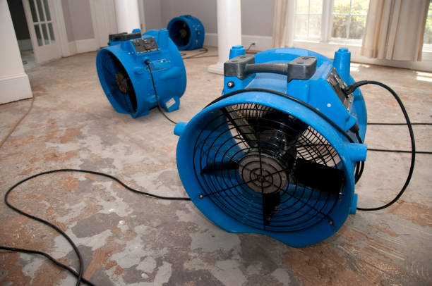 Best Sewage cleanup and water damage restoration  in Three Lakes, FL