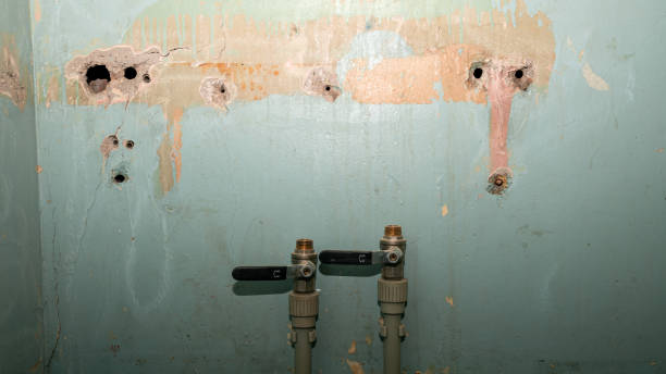 Best Fire Damage Restoration  in Three Lakes, FL