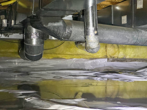 Water damage restoration mold remediation in Three Lakes, FL