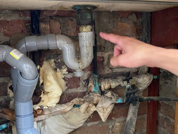 Best Water damage restoration mold remediation  in Three Lakes, FL