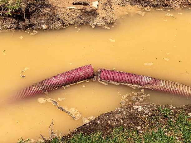 Best Emergency water damage restoration  in Three Lakes, FL